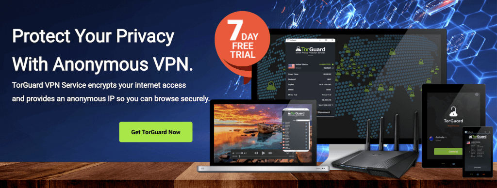 torguard for torrenting